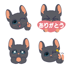 Chinchilla  Freyja fun and cute emoji