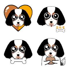 Dog Cavalier