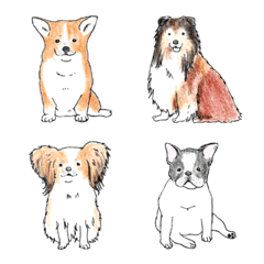 cute various dogs