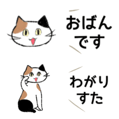 Tohoku dialect cat