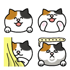 可愛的三花貓表情符號