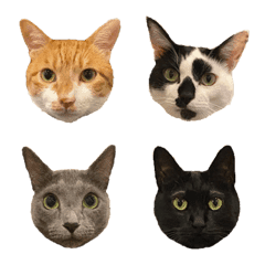 Kittem-ployees cute cats Emoji
