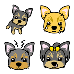 Various Yorkshie Terrier Emoji