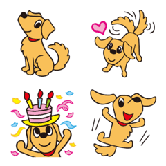 "Golden Retriever" emoji every day