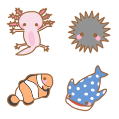 n&a 水族館の生き物たち