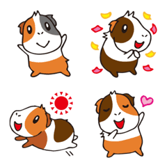 Cute "guinea pig" emoji every day