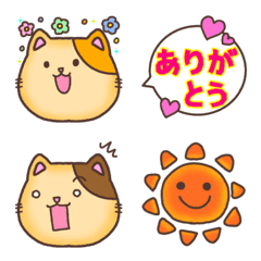 猫的chimaki 每天使用的表情文字