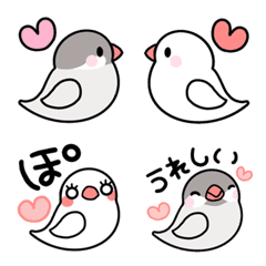 For daily use - Java sparrow
