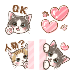 Kitten's Emoji (With letters)(tw)