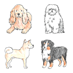 cute various dogs2