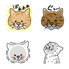 cat Emoji stickers chinsuke and chipin