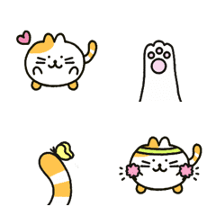 chubby cat cong-i