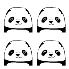 can-panda chan