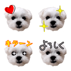 Mr.chiro,this time cute emoji.