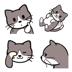 39 facial expressions cat(Tuxedo)