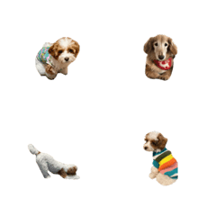 Napi Emoji