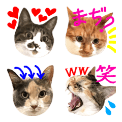 Neneko's Various cats