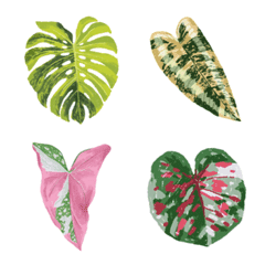 Leaf lovers