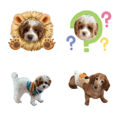 Napi Emoji 2