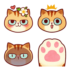 Two face cat Emoji