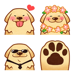 Big Cute Golden Retriever Emoji