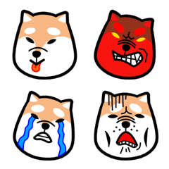 少しかわいい柴犬