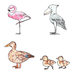cute various birds
