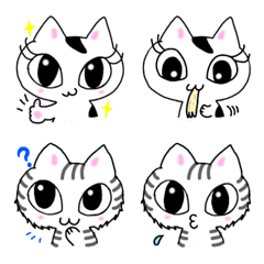 ねこ姉妹ちーまるさん（文字なし）