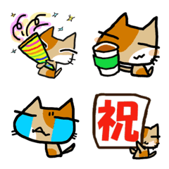 Daily CAT<EMOJI>