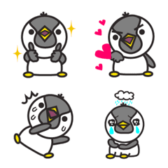 Penguin Default