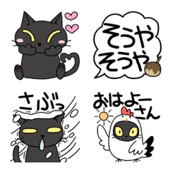 黒猫で関西弁
