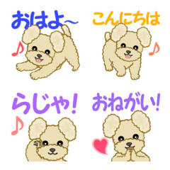 Fluffy ears toy poodle Emoji2