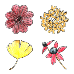 Autumn plants