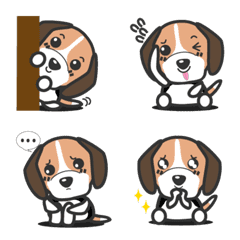 opensprinkler beagle default pasword