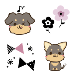 Cute word Yorkshire terrier