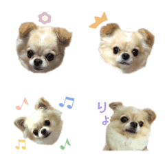 Hina chan emoji