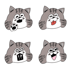 Tenchan Cat Emoji