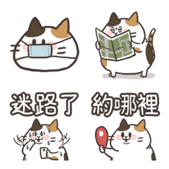 Three cat emoticon