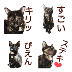 サビ猫のアート風絵文字