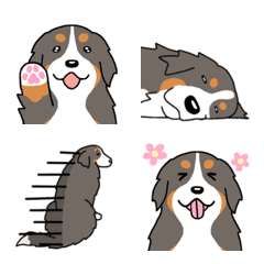 Dog Emoji Bernese Mountain Dog