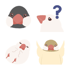 Chubby Java Sparrow Emoji
