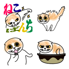 ScottishFold Emoji