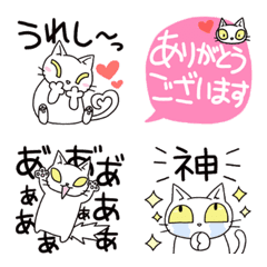 white cat face variation and one phrase2