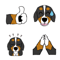 Emoji of Bernese Mountain Dog 3