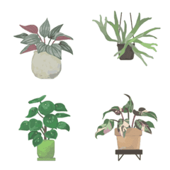 Foliage plant emoji 3