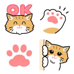 Move! Orange and White Cat Emoji