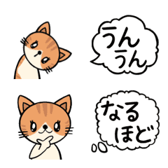 Assortment of cat-chan's moving replies