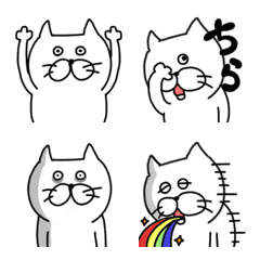 Cat Tamakichi