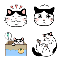 Lazy cat emoji(J)