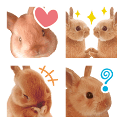 Emoji*cutie bunny